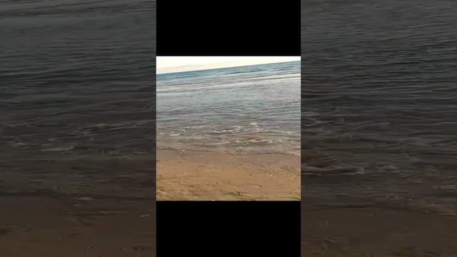 ❤️ смотреть онлайн