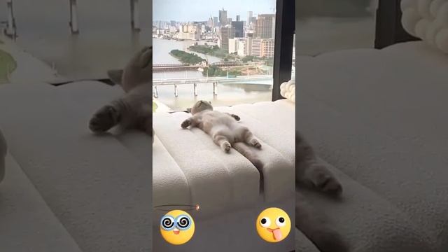 Приступаем к рабочей неделе смотреть онлайн