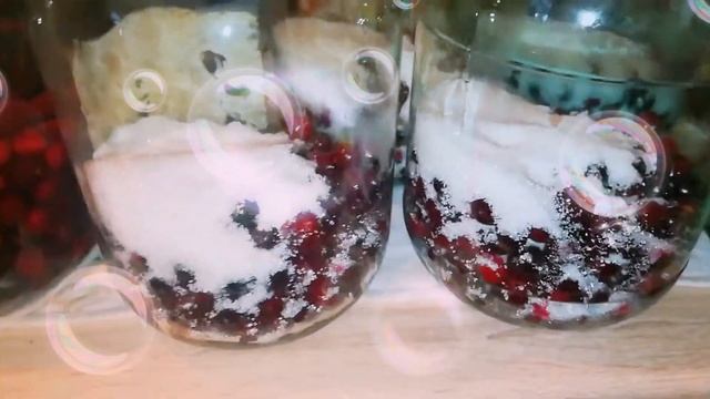 компот /😱 Супер простой способ смотреть онлайн