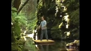 Цигун Ли Холден Вводное занятие для начинающих