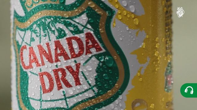 Mojito Tonic Frambuesa de Mocktails Canada Dry смотреть онлайн