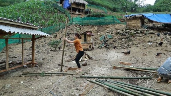 full video of building a new life | make big chicken coop and harvest...