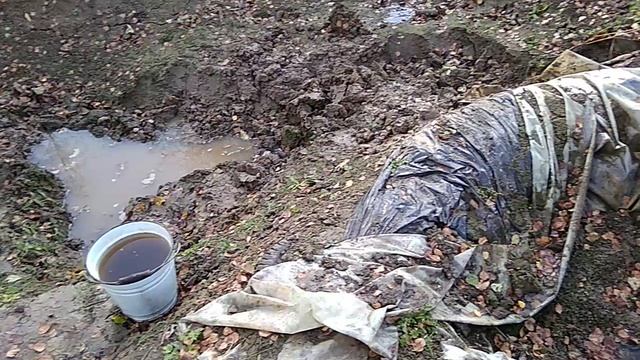 Шанс на выживание смотреть онлайн