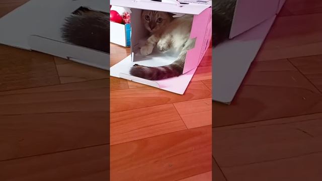 12 мая 2024 г. смотреть онлайн