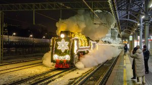 Эффектный проход «Поезда Деда Мороза» под ПАРОВОЗОМ на станции Белокаменная в Москве!