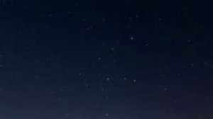 [   Колыбельная Кошки Мамы   ]