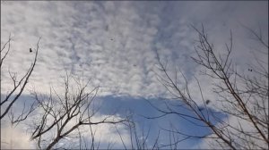 Радионяня осталась включенной. Жена услышала разговор мужа и свекрови. От их слов она обомлела...