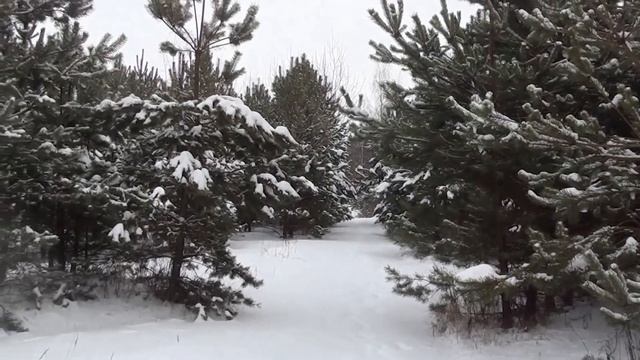 Тайна красных лент. смотреть онлайн