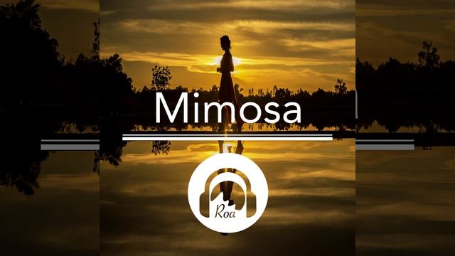 Mimosa смотреть онлайн