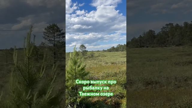 Видосы про рыбалку ждете? смотреть онлайн