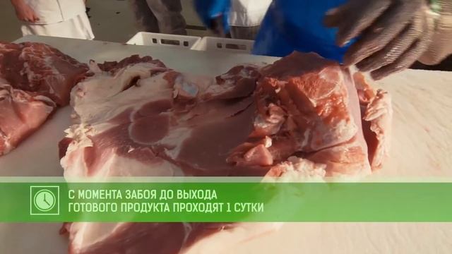 Узнай "Ярче!". КПК | DIVISION смотреть онлайн