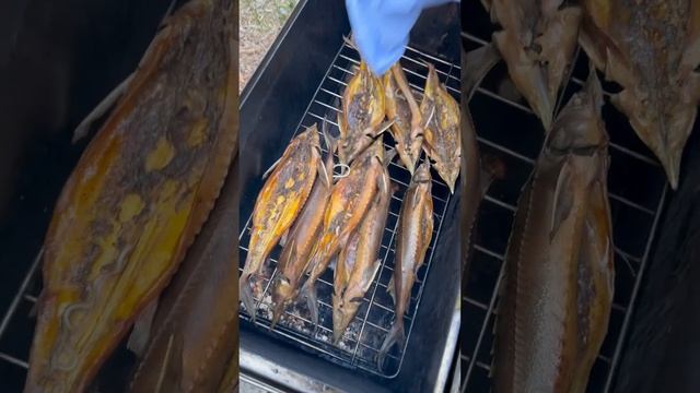 Рыба моей мечты…. смотреть онлайн