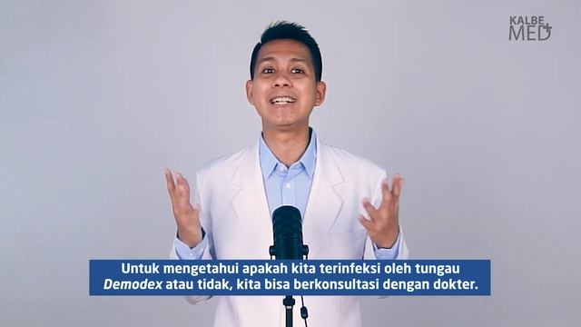 Mata Sering Gatal? Sepertiga Manusia Terinfeksi Tungau Ini Tanpa Sadar смотреть онлайн