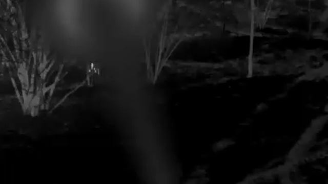 тепловизионный монокуляр SFH