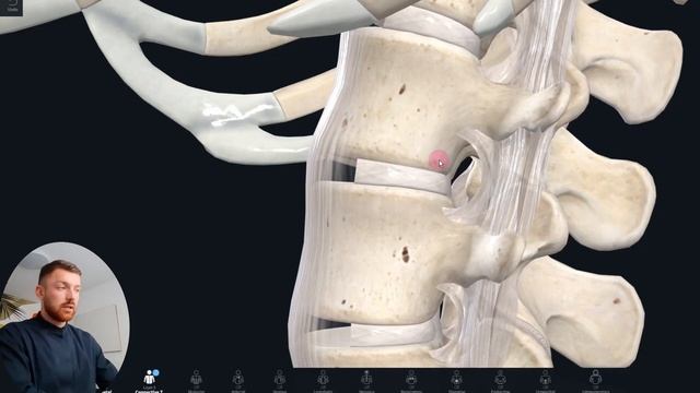 Где ущемляются нервы, как выглядит позвоночный канал, стабилизация позвоночника смотреть онлайн
