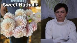 Георгины, стойкие популярные сорта для букетов.