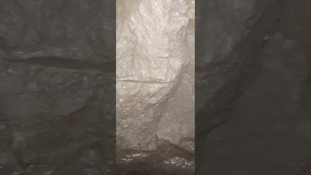 20 июня 2023 г.