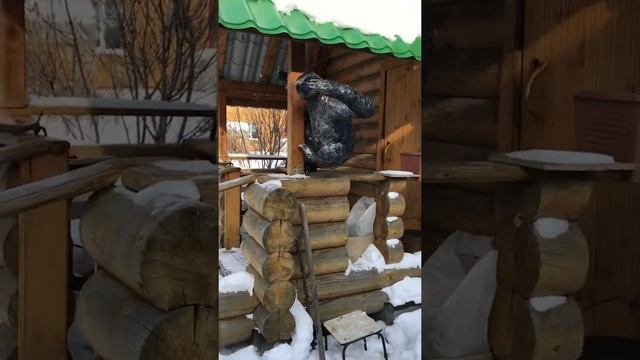 Ленивец из металла смотреть онлайн