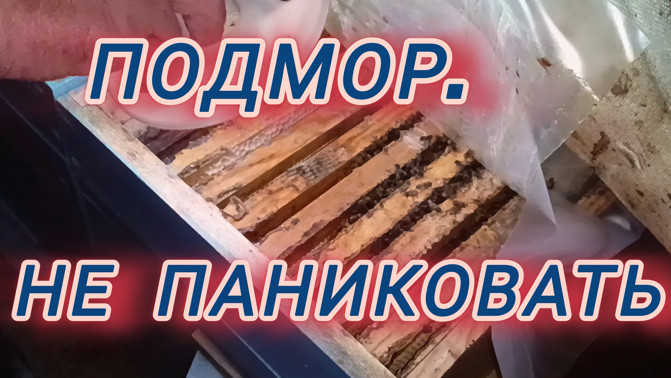 Подмор. Не паниковать... смотреть онлайн