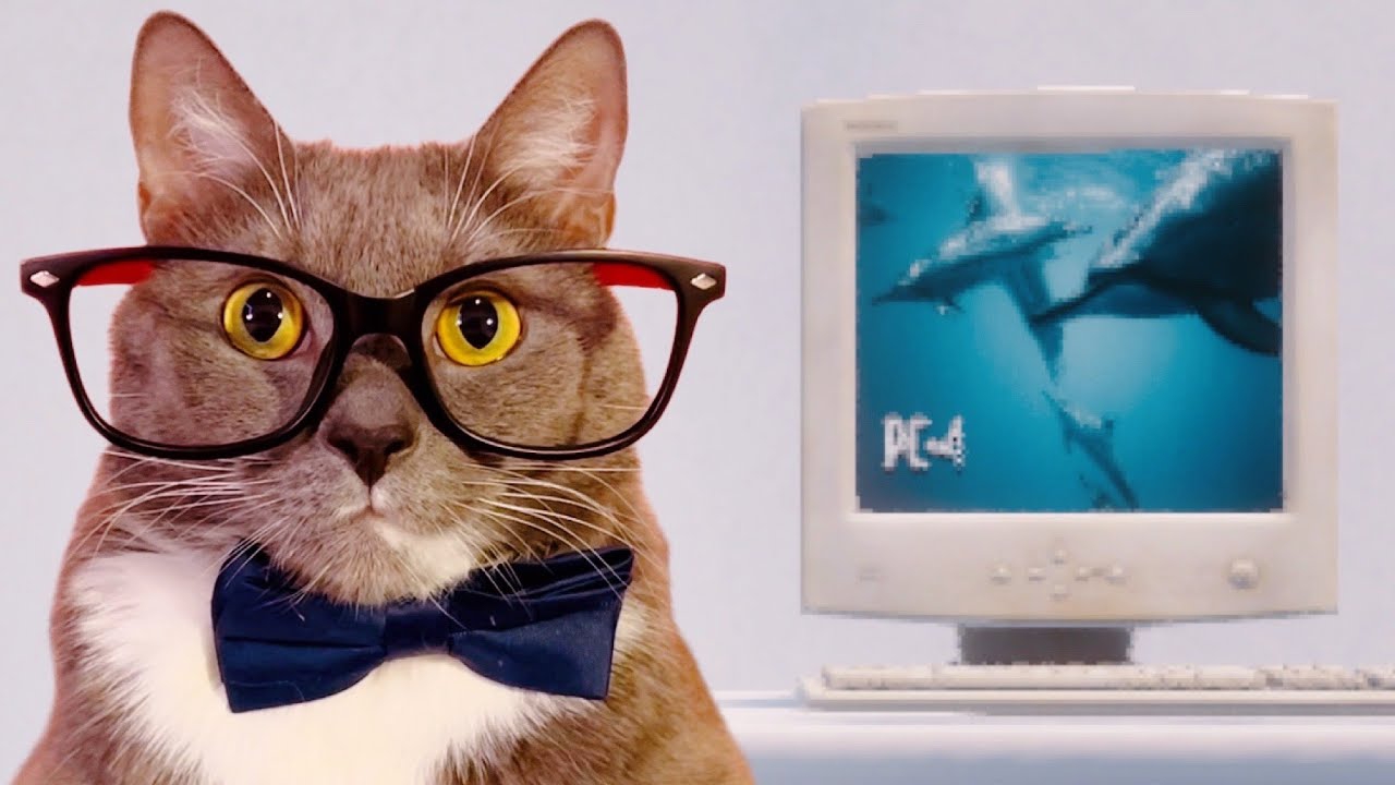 КОМПЫ У ГЕННАДИЯ #2 смотреть онлайн