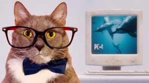 КОМПЫ У ГЕННАДИЯ #2