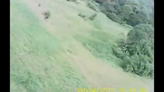 В летний ветер смотреть онлайн