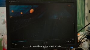 Дикий Токио (документальный фильм, 2020)