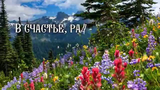 С Днем Рождения Диме смотреть онлайн