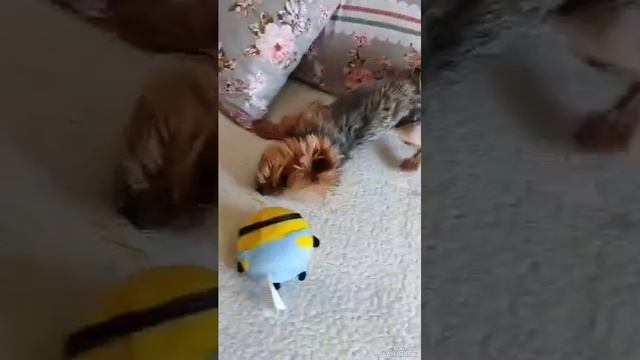 Позитив 🤗 смотреть онлайн