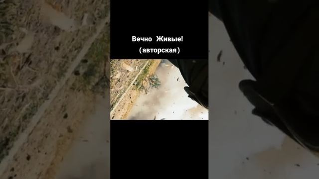 Вечно живые Стихи: Владимир Курочкин Музыка, исп: Пётр Гладких смотреть онлайн