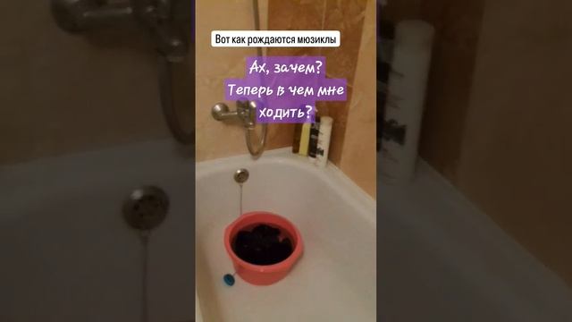 Том зассал мои трусы. И я спела об этом арию. #шортс #live #musical #vocal #мюзикл #кошки смотреть онлайн