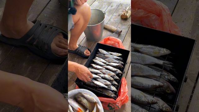 Виталий Первухин