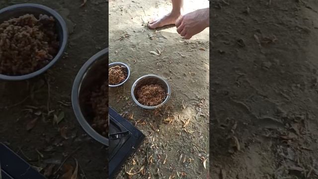 Каша по купечески, сплав по реке привал, котелок вари😊👍 смотреть онлайн