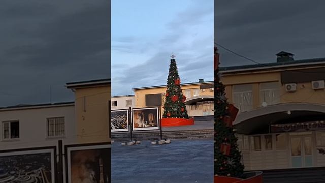 Ёлка в Новоайдаре смотреть онлайн