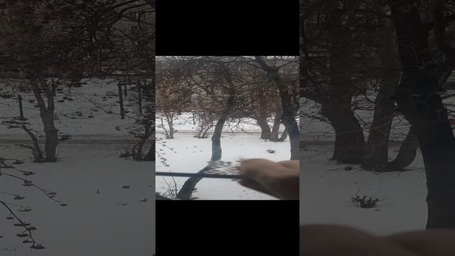 Наклейки новогодние