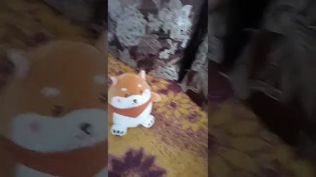 5 октября 2022 г. смотреть онлайн