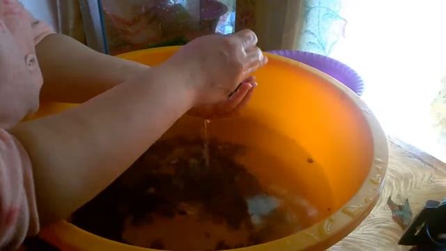 Моем аквариум .Салат .Земля с огорода . смотреть онлайн