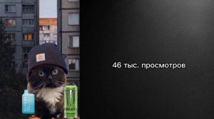 Твои просмотры это: Думерские лица кота: