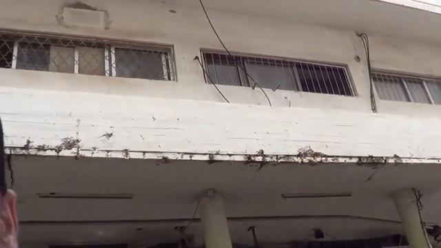 бухло с пашей тришкиным Часть 7 (2015-2020 год) смотреть онлайн