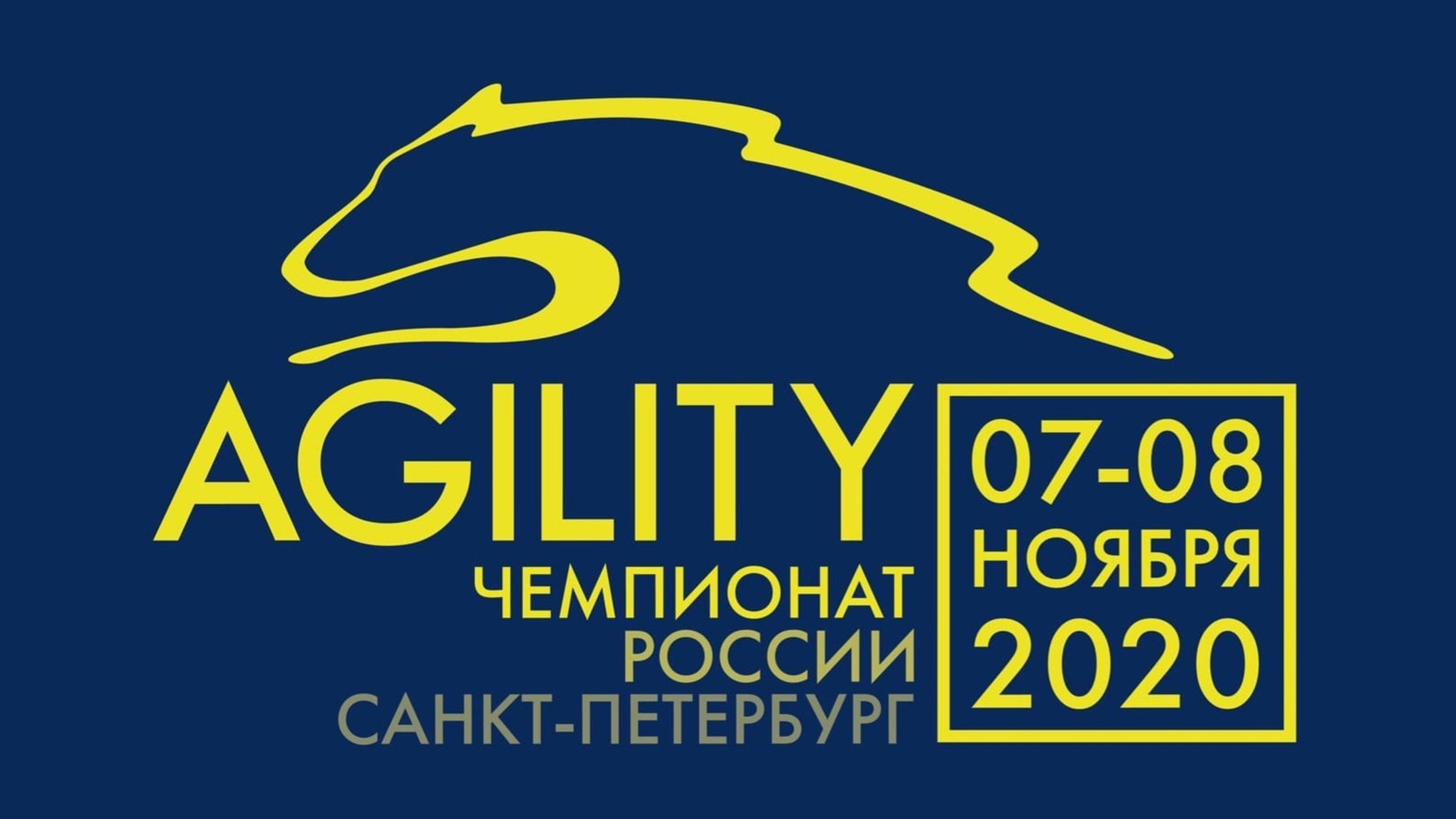 Аджилити | Чемпионат России РКФ 2020 CACIAg (часть 2)| 07.11.2020