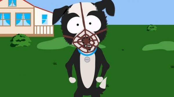 Рекс и Кекс. Выпуск №10