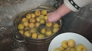 МОЧЁНЫЕ ЯБЛОКИ ИЗ ПОДВАЛА