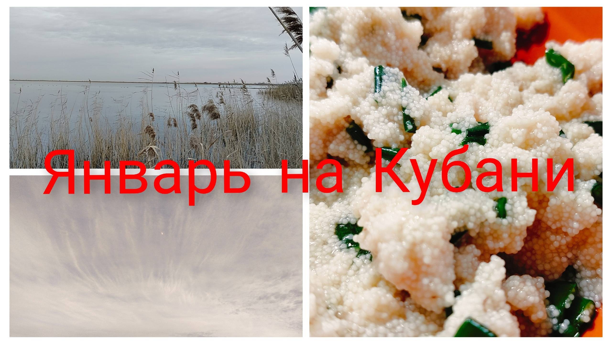 Январь на Кубани.Уже гуси полетели.Праздники закончились, ура! смотреть онлайн