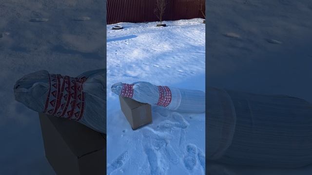 Внимание черный ящик@morzh_pro #баня #палатка смотреть онлайн