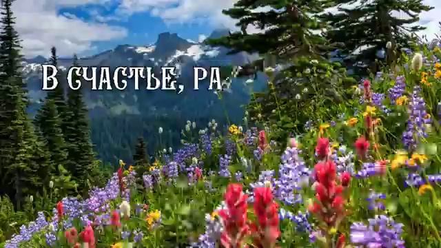 С Днем Рождения Дмитрию смотреть онлайн