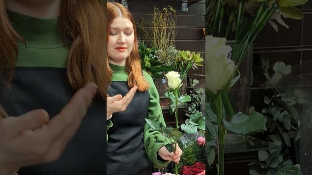 как выбрать свежую розу смотреть онлайн