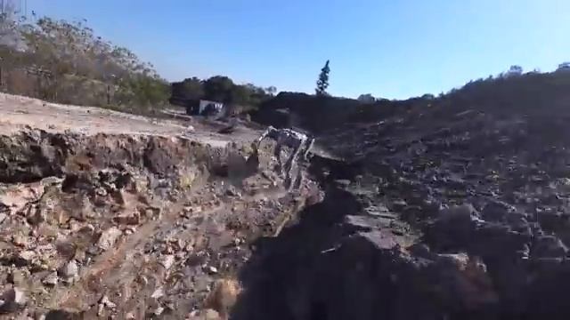 Возможности робособаки Unitree B2 wheel смотреть онлайн