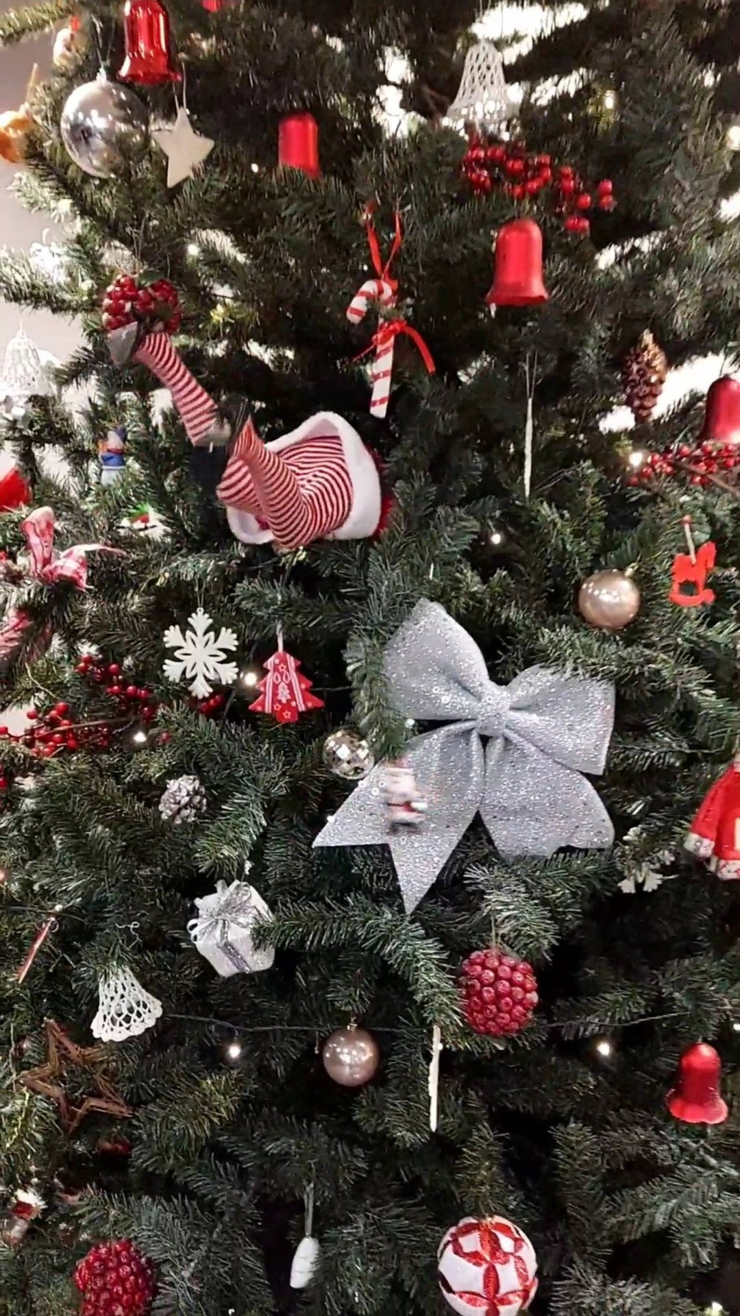 Новогодняя сказка в Калининграде, Светлогорске и Зеленоградске 🎄 #путешествияпороссии #калининград смотреть онлайн