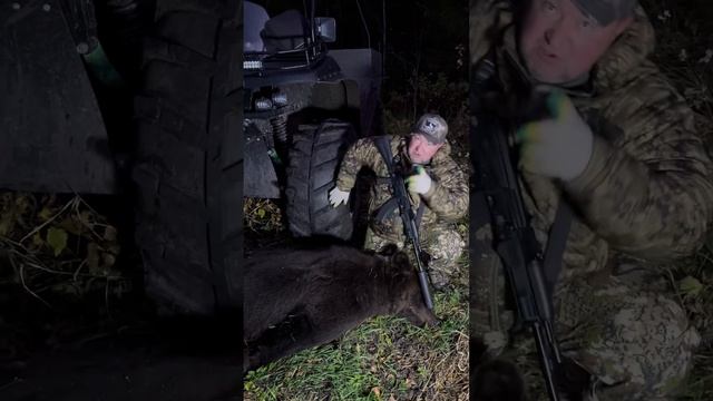 Добыл Медведя в Тайге смотреть онлайн