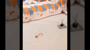 Интерактивная игрушка-мяч для кошек, автоматический катящийся шар с хвостом, перезаряжаемая умная ин